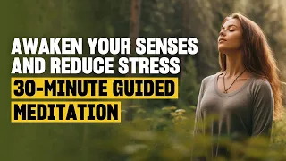 30-Minute Walking Meditation to Reduce Anxiety & Clarity | by Elif Hürdoğan & Phil Geelhoed