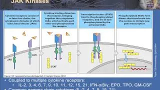 The Human Kinome Intracellular Signaling