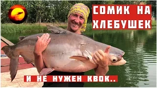 КАК ВЫДЕРЖАЛА УДОЧКА? СОМ ТРОФЕЙ / БОЛЬШАЯ РЫБАЛКА