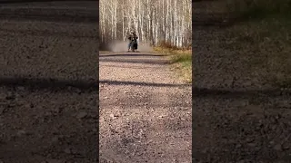 Mini bike wheelies