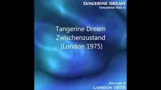 Tangerine Dream - "Zwischenzustand" (Live 1975)