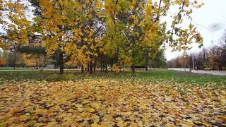 Жёлтый Октябрь в парке города Тольятти+Клип исп Шура Алесинский.