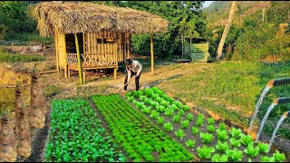 17 year old single mother: gardening - finding clean water - digging sweet bamboo shoots