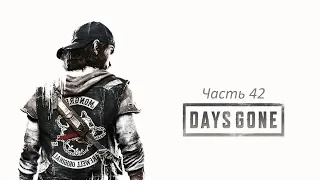 Прохождение Days Gone Часть 42 Будь по твоему