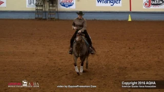 SPOOKAROANIE ridden by ANITA M HORN  - 2016 AQHA World Show (Am Reining, Prelims)