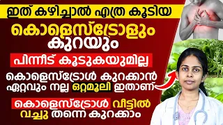 കൊളെസ്ട്രോൾ വരുതിയിലാക്കാൻ വീട്ടിൽ തന്നെയുള്ള ഈ ഒറ്റമൂലി കഴിച്ചാൽ മതി|cholesterol kurakkan