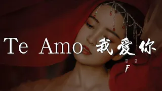 Te/Amo/我愛你 - F4『有了你我才能往更大的路走』【動態歌詞Lyrics】