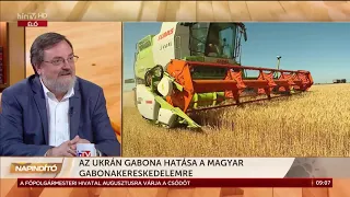 Napindító - Az ukrán gabona hatása a magyar gabonakereskedelemre (2023-07-05) - HÍR TV