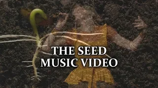 AURORA - The Seed Music Video (Türkçe + English Subtitle)