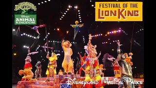 Festival of The Lion King Animal Kingdom Walt DisneyWorld. -- FULL SHOW --