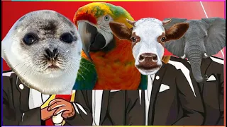 SEA LION & FUNNY PARROT & COW & ELEPHANT (ANIMALS WORLD) - Coffin Dance X Baby Shark COVER