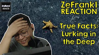 True Facts: Lurking in the Deep | zefrank1 | ImBumi Reaction