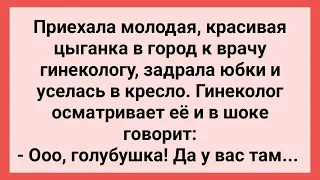 Цыганка Пришла к Гинекологу, Доктор в Шоке! Сборник Свежих Смешных Жизненных Анекдотов!