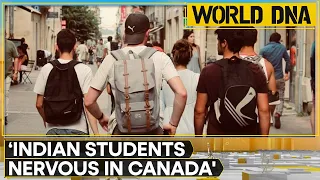 India Canada row: Impact on students and economy | World DNA | WION