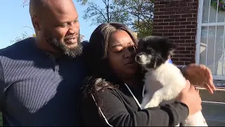 Family reunited with lost Pomeranian after nearly a year