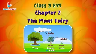 Class 3 EVS Chapter 2 The Plant Fairy - LearnFatafat