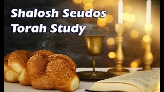 Third Meal of Shabbat Tzav - Midrash Rabbah Study