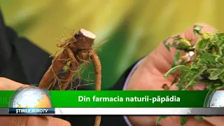 JURNALUL AGROTV 16.09.2019