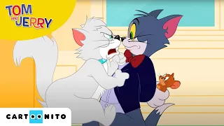 Tom și Jerry | La vânătoare de șoareci | Cartoonito