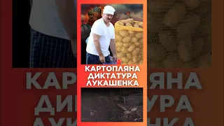 Лукашенко ПОПЛАВИЛСЯ: Диктатуры НЕТ, но АВТОРИТАРИЗМА достаточно / СЕРЬЕЗНО