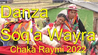 Danza Soq'a Wayra - Festival Chaka Raymi 2022 - Municipalidad Distrital de Layo Canas