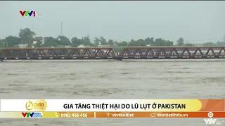 Gia tăng thiệt hại do lũ lụt ở Pakistan | VTVWDB