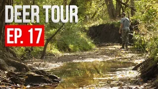 Scouting BUCK NEST, Deer Hunting in HOT Weather - DEER TOUR E17