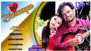 DIL DIWANAYEN//SEFALI HEMBROM & STEPHAN TUDU  NEW SANTALI VIDEO 2022