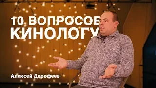 10 вопросов КИНОЛОГУ - Алексей Дорофеев. Глупые собаки. Как выбрать щенка.