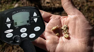 Will a Cheap Metal Detector Find Gold?