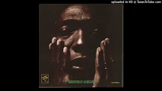 Thomas Mapfumo - Nyama Yekugocha