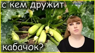 С чем рядом сажать кабачки и землянику: лучшие соседи для кабачка и земляники!!!