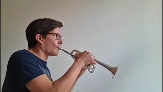 Bach Piccolo Trumpet