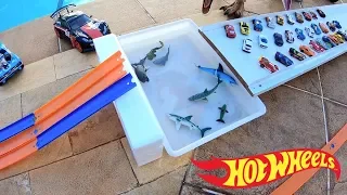 Hot Wheels Pista Carrinhos Não podem Cair na Água 2020 #235 Brinquedos Toys