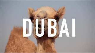 Dubai Vlog