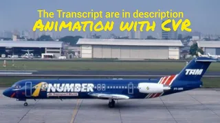 TAM Airlines Flight 402 Crash || Animation with CVR. (Read description)