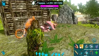 Ark Mobile How To Trap & Fast Tame High Level Tapejara | Tapejara Taming | Tapejara Abilities