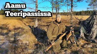 Pakkasaamu suolla - Teeren kuvilla + Kanahaukka hyökkää kuville!