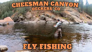 Fly Fishing the South Platte River in Cheesman Canyon | Deckers, CO