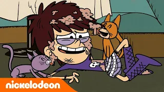 Loud House | Casagrandes | 30 minutos dos animaizinhos mais fofinhos! | Nickelodeon em Português