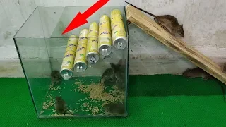 New type of mouse trap - how to make mousetrap - mousetrap with scrap new version