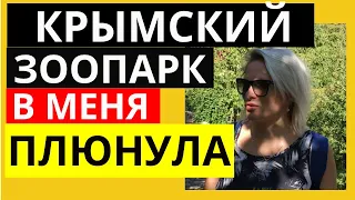 СМЕШНОЕ ВИДЕО как в меня ПЛЮНУЛА ЛАМА |ПРИКОЛ в ЗООПАРКЕ | Крымский зоопарк в зоопарке с детьми Ялта