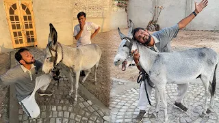 Mamu Ka Dream Pet Donkey La Aiy 😂