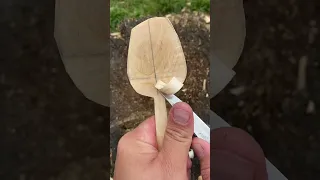 Another one for the drying pile! #asmrcarving #asmr #spooncarving #greenwoodworking