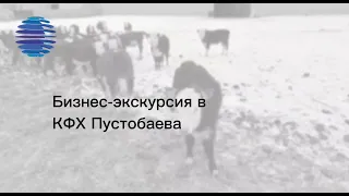 Бизнес-экскурсия в КФХ Пустобаева