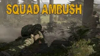 SQUAD AMBUSH (ARMA 2: Wasteland Squad Gameplay)