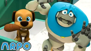 Puppy is messing around!! - Birthday DISASTER !!! | Kids TV Shows | Cartoons For Kids | Fun Anime