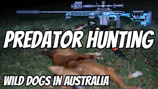 Predator Hunting || Wild Dogs in Australia || Shooting with Thermal || 6BR & 6.5PRC