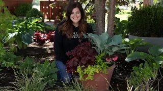 Perennial Shade Container 😍🌿🌥// Garden Answer