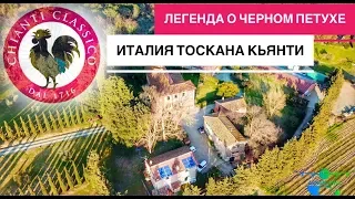 Вино с черным петухом (Gallo nero): легенда Кьянти Классико (Chianti Classico) #Авиамания